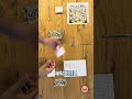 Giochi da tavolo: come giocare a Plagio #giochidatavolo #boardgames #plagio