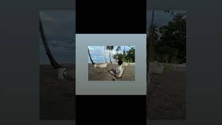 Michael Cali - Time Zone (Official Audio)