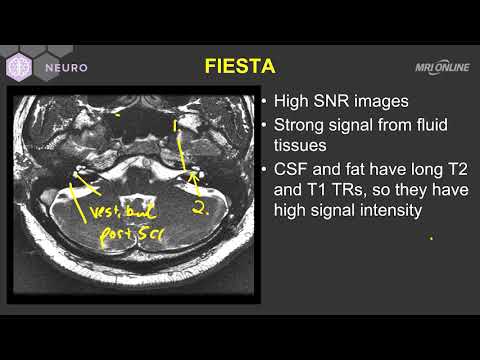 Video: Wat is MRI-oorsteekproeffase?