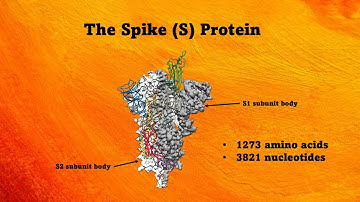 EvoEd - Introduction to SARS-CoV-2 Genetics