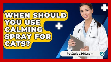 When Should You Use Calming Spray For Cats? - PetGuide360.com