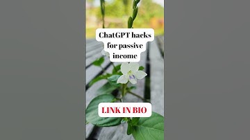 How I Make Money While I Sleep With ChatGPT!