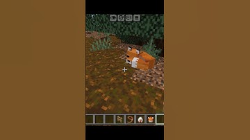 Minecraft Logic #shortsfeed #shorts #minecraft