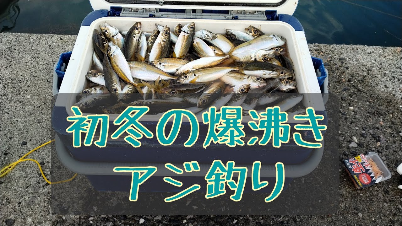 初冬の爆沸きアジ釣り