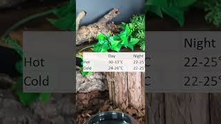 Temperature and humidity for Ball Pythons