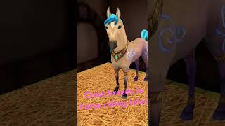 Crossbreed In Horse Riding Tales.