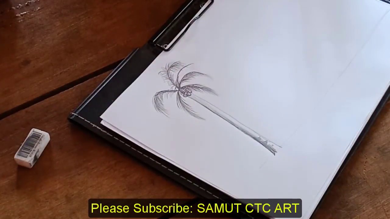 Coconut Paint Coconut Tree Samut CTC Art YouTube