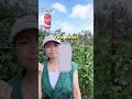 #Iphone 17 Pro Max Cosmic Orange 🧠 🔥#noads #tiktok #funny funny