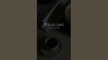 في جنة عالية | القارئ عبد الرحمن مسعد 🤍🎧