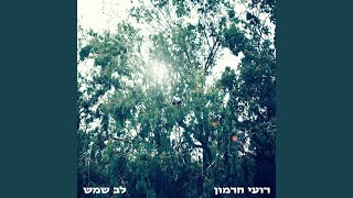 Video thumbnail of "Roei Hermon - לא יודע כלל"