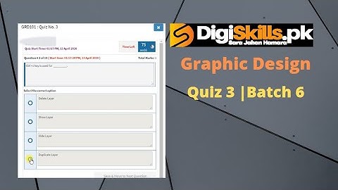 Digiskills Graphic Design Quiz 3 Solution Batch 6 |  Quiz No. 3 Solution | Techno Malik