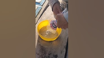 Cách trộn mồi câu cá dò #phongphamtv #fishing