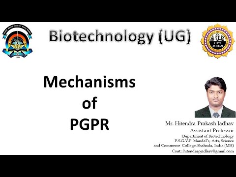 Mechanisms of PGPR