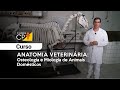 Anatomia Veterinária   Osteologia e Miologia de Animais Domésticos l Cursos CPT