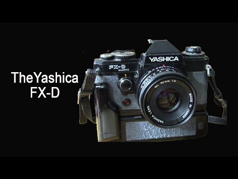キラキラ感 春のきらめき YASHICA ROOKIE FOR INTERIOR The