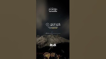 #أرح_قلبك_و_سمعك_بكلام_الله 🍂📖🤍#القارئ_علاء_عقل #القرآن_الكريم #صوت_مؤثر ما تيسر من سورة محمد