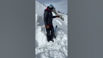 Persistent slab and wind slab avalanches, Taylor Fork - 13 Feb 2025
