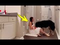 Sa femme continue de senfermer dans la salle de bain avec son chien jusqu ce que son mari remarqu