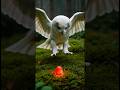 Seed Grows 4 Different Fruits #onetreemanyfruits #magicaljourney