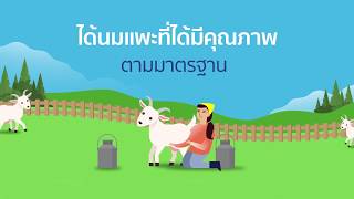 นมแพะสเตอริไลส์ ไอ เลิฟ สมาร์ทฮาร์ท