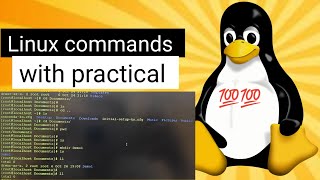 Top 7 Essential Linux Commands for Beginners | ls, cd, mkdir, touch, vi, nano, cp Explained