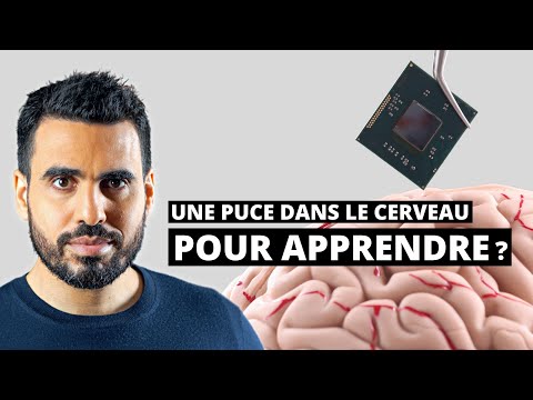 Vidéo: Plus que vous avez toujours voulu savoir sur les puces