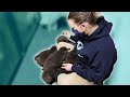 How We Take Care of Baby Penguins At The Aquarium