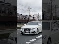 2026/6/7 パレオ君上りです!