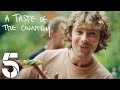 A taste of the country brand new show  channel 5