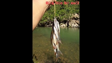 Khám phá Bữa tiệc bên suối Sốp Cộp - Mường Lèo tây bắc