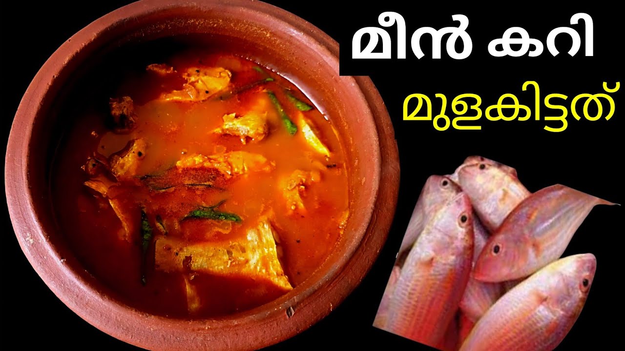 MEEN (Curry) MULAKITTATHU [KILI MEEN!] // കിളി മീൻ ( FISH CURRY ) മുളകിട്ടത് | MEen MulAkiTTathu