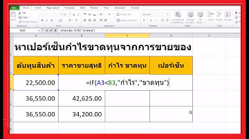 คิดเปอร์เซ็นต์กำไรขาดทุน จากการขายของ ด้วย Excel