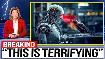 AI Just Decoded Crow Speech — What They’re Saying About Us Is Shocking