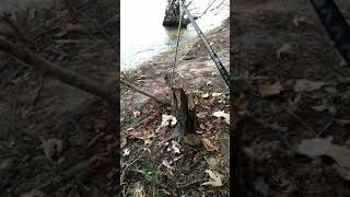 Abu Garcia 6500 Chrome Rocket on Penn battalion 2