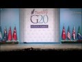 Кошки на саммите G20. 15.11.2015г.