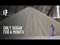 What If You Ate Nothing But Sugar for a Month?