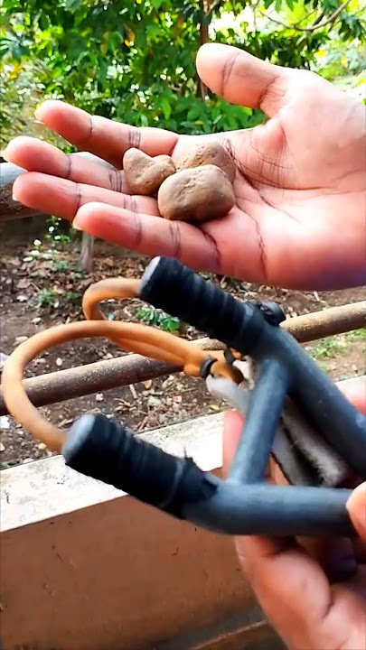 Catapult | உண்டிகோல் 😍