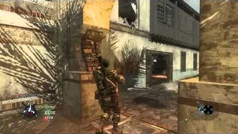 Gavtron86 - Black Ops tomahawk through a window