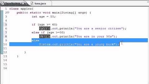 Java Programming Tutorial - 19 - else if Statement.flv