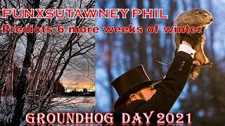 Groundhog Day Who Is Punxsutawney Phil ? Animalvideos