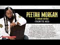 PEETAH MORGAN TRIBUTE MIX | BEST OF MORGAN HERITAGE🇯🇲REGGAE