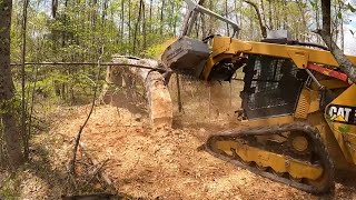 Big Bad Forestry Mulcher V/S giant tree debris and more....clearing new pastures