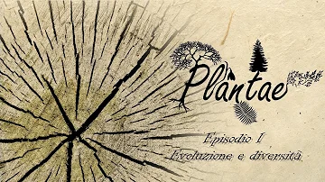 Quali sono le prime piante terrestri?