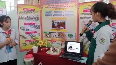 Màn thuyết trình dự án KHKT thi cấp huyện của học sinh THCS Yên Phú khiến BGK đứng hình.