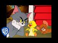 Tom und Jerry auf Deutsch | Quack, Quack, kleiner Quacker! | WB Kids