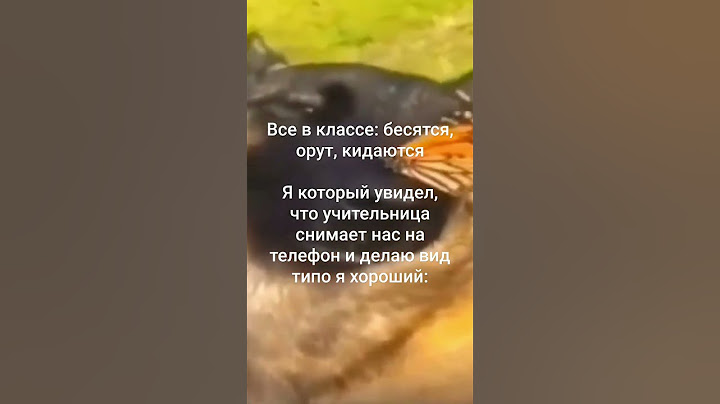 Пон или не пон? #мем #собака #школа #учительница #училка #бабочка #животные #природа #мем #жиза