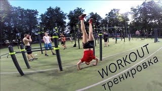 WORKOUT тренировка для начинающих. W24