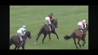 2026人馬錦標 2026 Centaur Stakes G2