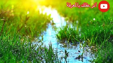 تلاوة هادئة وخيالية والطبيعة الخلابة للاسترخاء أترك ضجيج الدنيا #أرح_سمعك❤️ القرآن الكريم📚