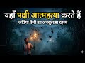 असम के इस गाँव में पक्षी खुदकुशी क्यों करते हैं? 😱 | The Unsolved Mystery of Jatinga